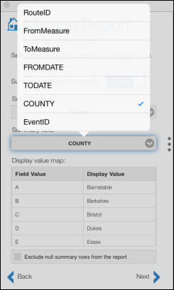 Choosing the summary field Choosing the summary field